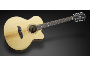 Framus Legacy FJ 14 SMV C2