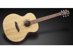 Framus Legacy FJ 14 SV