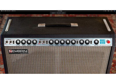 Nembrini Audio Double Reverb Guitar Amplifier