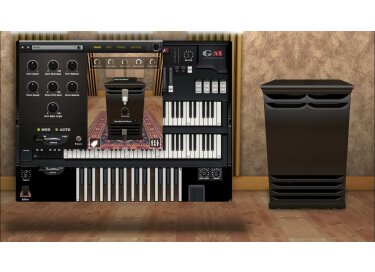 Gospel Musicians Gospel Organ