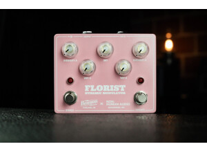 Benson Amps Florist Dynamic Modulation