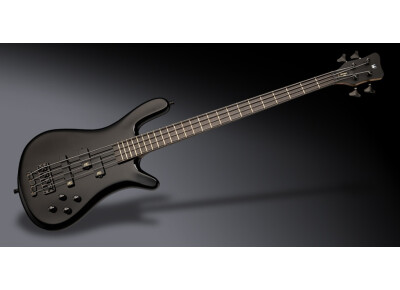 Warwick Pro GPS Streamer LX 4