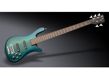 Warwick Pro GPS Streamer LX 5
