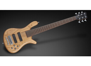 Warwick Pro GPS Streamer LX 6