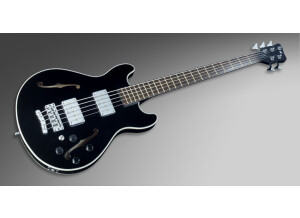 Warwick Pro GPS Star Bass 5