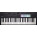 Voir la photo du Novation Launchkey 49 MK4 Novation Launchkey 49 MK4