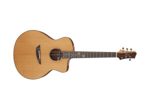 Ibanez JGM11 Jon Gomm signature