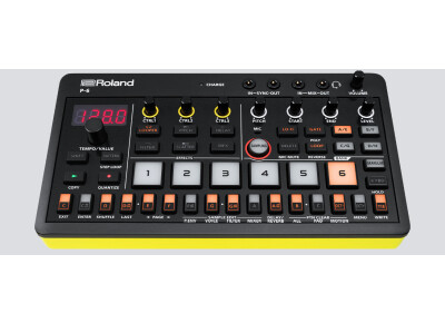 Roland P-6