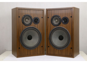 Cerwin Vega H.E.D 39P