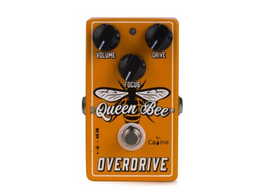 Caline CP-503 Queen Bee