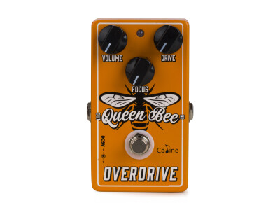 Caline CP-503 Queen Bee