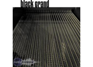 Sampletekk Black Grand