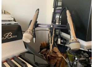 AKG D190C