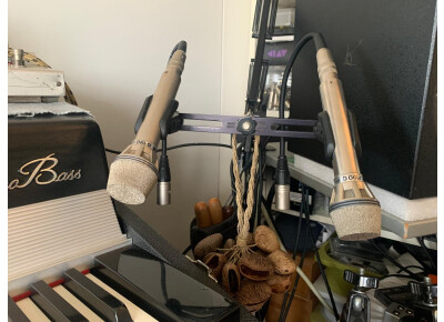 AKG D190C