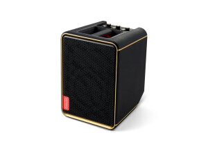 Positive Grid Spark EDGE