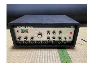 Roland RE-200