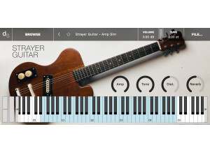Decent Samples Strayer Guitar