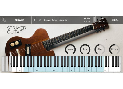 Decent Samples Strayer Guitar