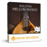 Orange Tree Samples présente Evolution Mellow Mando