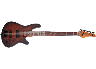 Schecter C-5 Standard