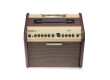 Fishman Loudbox Mini (2019)
