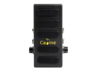 Caline CP-31V Volume & Boost