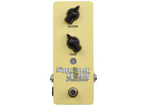 Danelectro SKJ-1 Spring King Junior