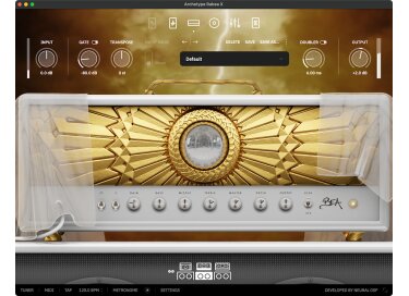 Neural DSP Archetype: Rabea X