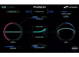 Zynaptiq Punch