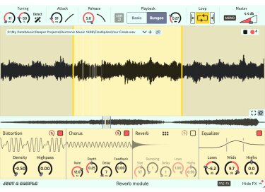 Binyamin Friedman Just a Sample