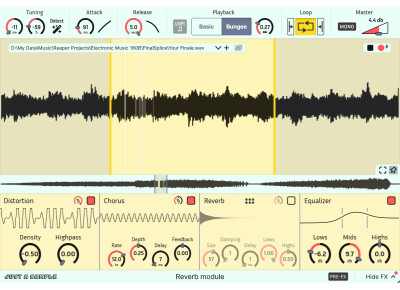 Binyamin Friedman Just a Sample