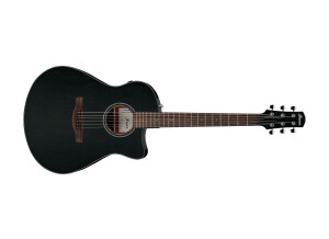 Ibanez AAM340CE