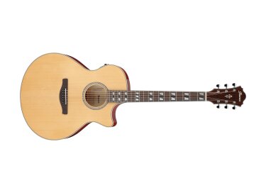 Ibanez AE170