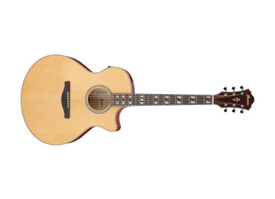 Ibanez AE170