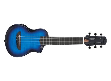 Ibanez AUP10FMNE