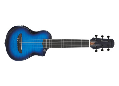 Ibanez AUP10FMNE