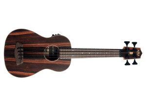 Kala UBASS-EBY-FS Striped Ebony Fretted U-Bass