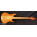 Voir la photo de la Vox Custom Bass Vox Custom Bass