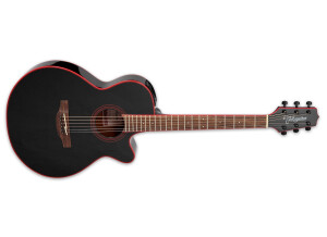 Takamine GF49CE