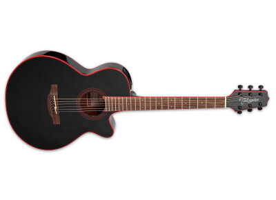 Takamine GF49CE