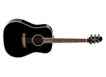 Takamine FT341