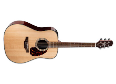 Takamine FT340 BS