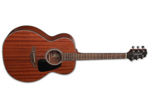 Takamine GN11M