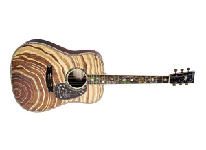 Martin & Co D-300