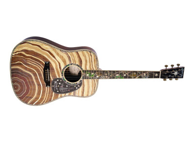 Martin & Co D-300