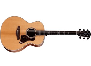 Taylor Gold Label 814e