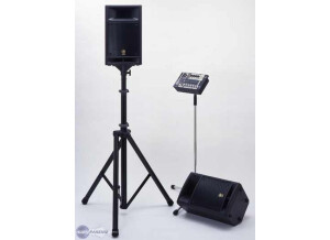 Yamaha Stagepas 300