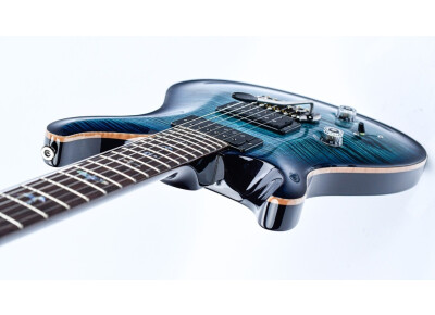 PRS Custom 24 10 Top Wood Library