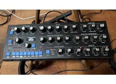 GS Music Bree6 Module