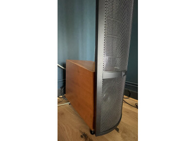 Martin Logan ETHOS